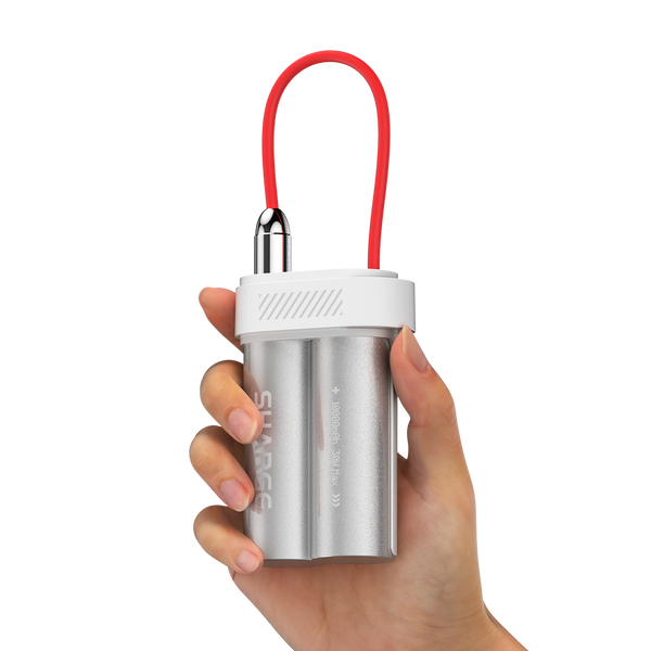 SHARGEEK Pouch Mini